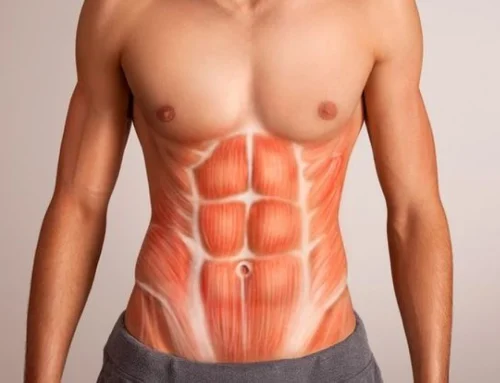 PAREDE ABDOMINAL 360